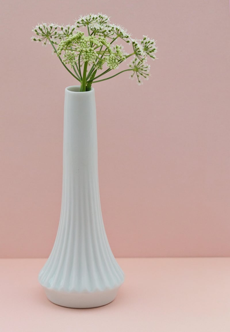 Whimsical botanicals