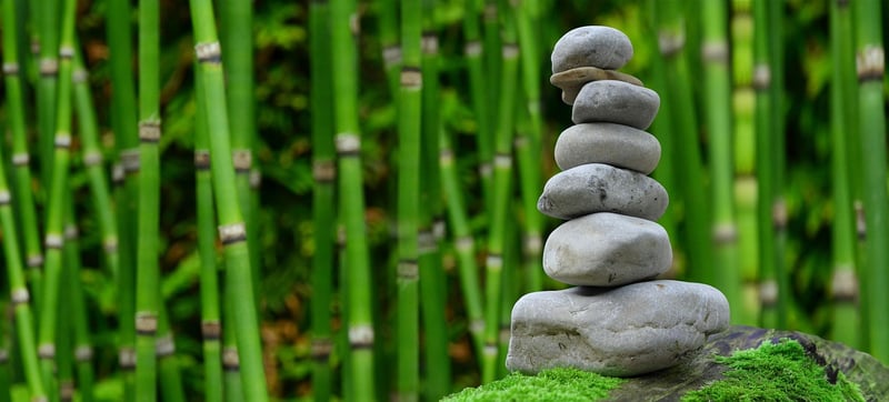 Bamboo Water Fountain