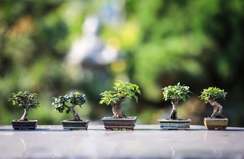 Miniature Fairy Village